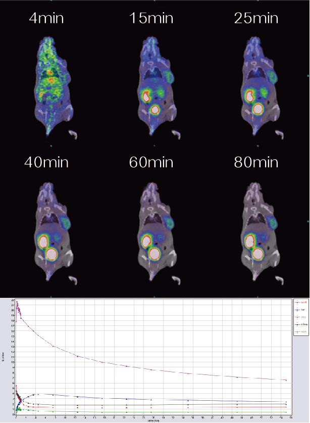 1744183540334091.png 1-1.png