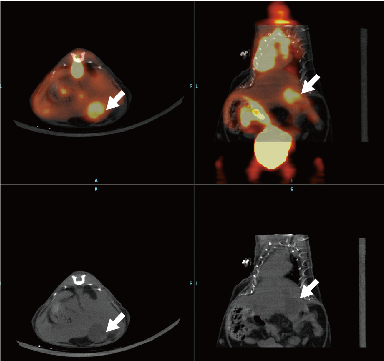 1744183939113945.png 7.png