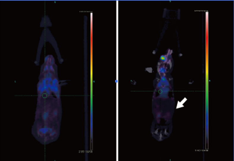 1744184003890468.png 8.png