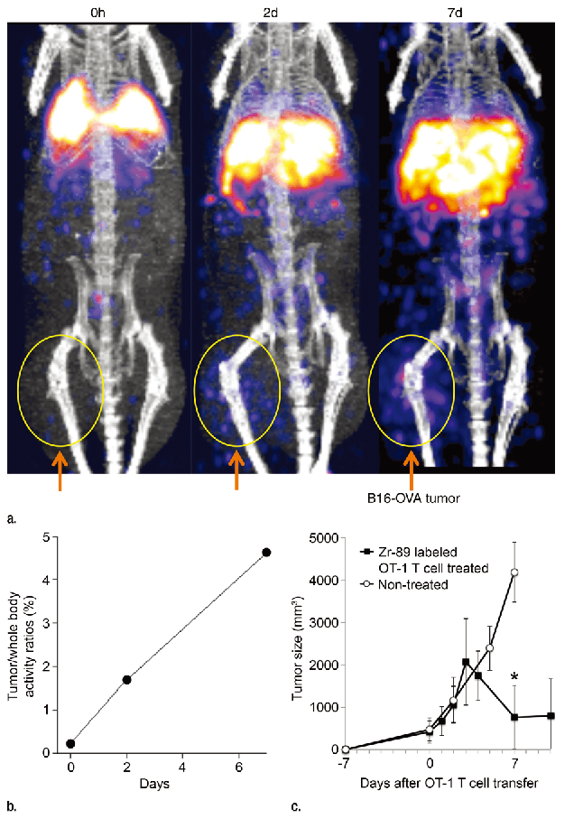 1744184278124945.png 5.png